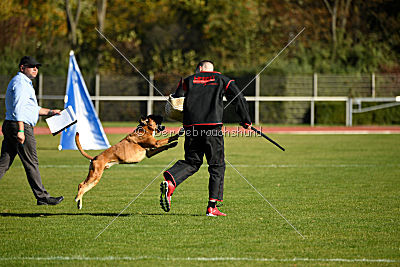 Orazio vom Hammersee
