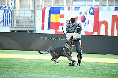 Orex du Chateau du Paradis