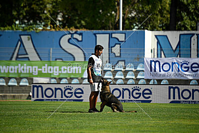 Orex du Château du Paradis