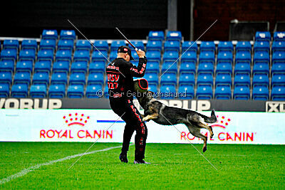 Orphée des Orckis de l'Adret