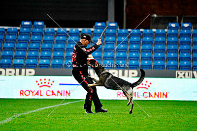 Orphée des Orckis de l'Adret