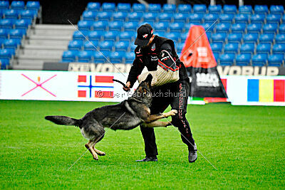 Orphée des Orckis de l'Adret