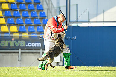 Orphée des Orckis de l'Adret