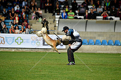 Orus des pas des bêtes