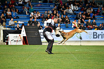 Orus des pas des bêtes