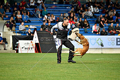 Orus des pas des bêtes