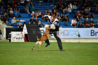 Orus des pas des bêtes