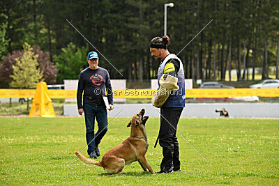 Orus des pas des bêtes