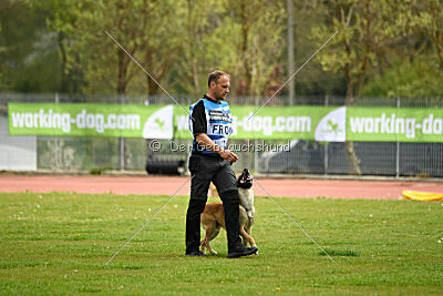 Orus des pas des bêtes