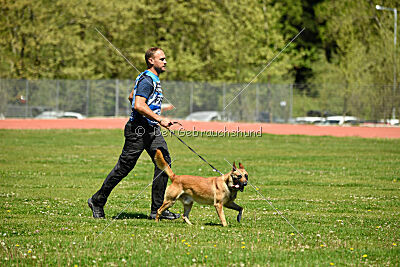 Orus des pas des bêtes