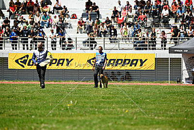 Orus des pas des bêtes