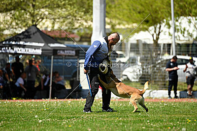 Orus des pas des bêtes