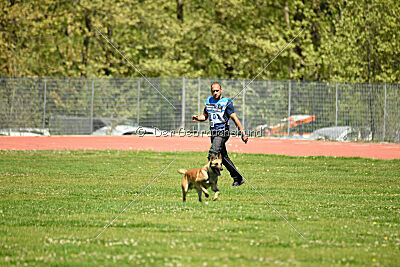 Orus des pas des bêtes