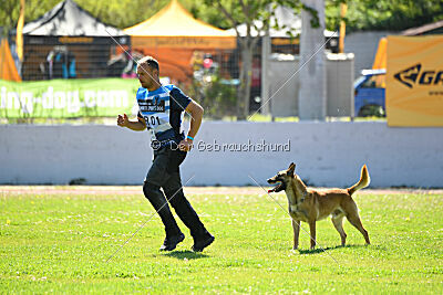 Orus des pas des bêtes