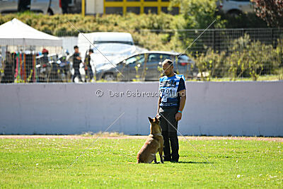 Orus des pas des bêtes