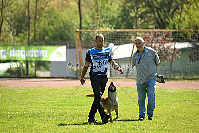 Orus des pas des bêtes