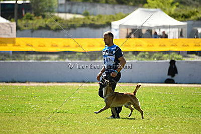 Orus des pas des bêtes