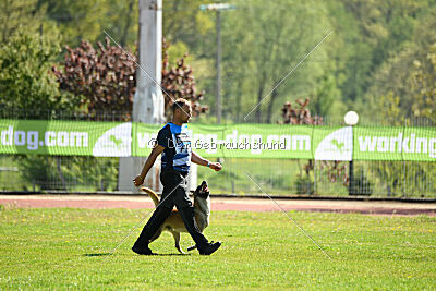 Orus des pas des bêtes