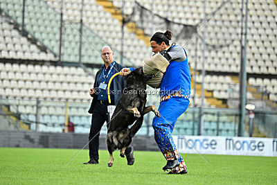 Osca di Casa Nosella