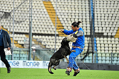 Osca di Casa Nosella