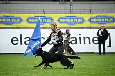 Ostine du Domaine de Fontblanche
