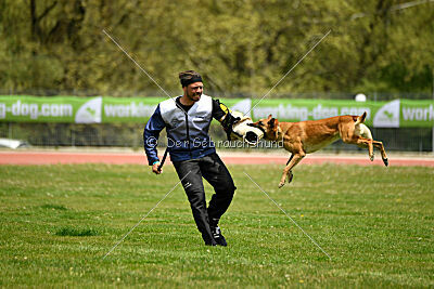 Othar des Pas des Betes