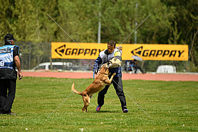Othar des Pas des Betes