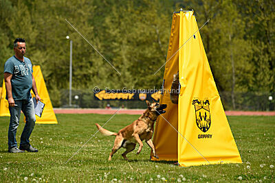 Othar des Pas des Betes