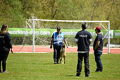 Othar des Pas des Betes