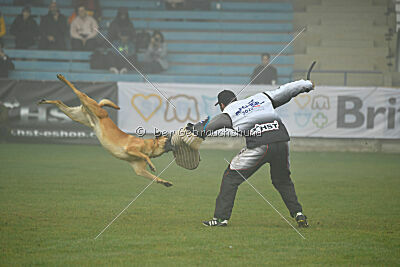 Othar des Pas des Bêtes