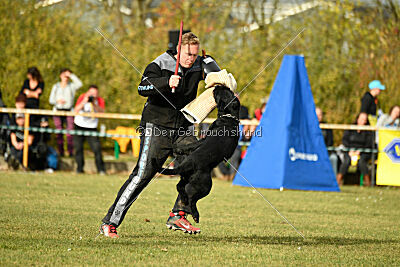 Othello vom Lindelbrunn