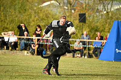 Othello vom Lindelbrunn