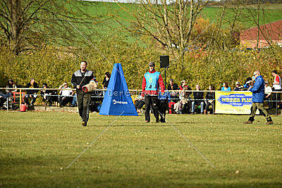 Othello vom Lindelbrunn