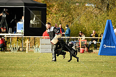Othello vom Lindelbrunn