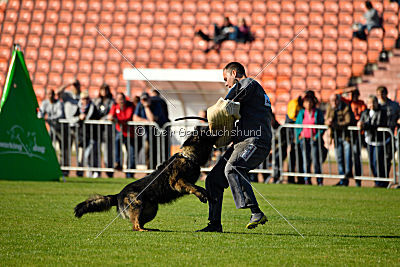 Ouray vom Lisdorferland