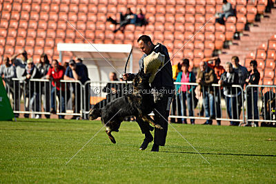 Ouray vom Lisdorferland
