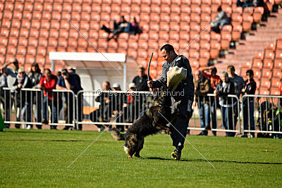 Ouray vom Lisdorferland