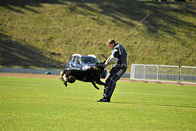 Ouray vom Lisdorferland