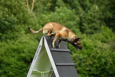 Ouzo von den brennenden Herzen