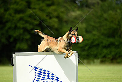 Ouzo von den brennenden Herzen