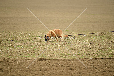 Oxana de la montagne unique
