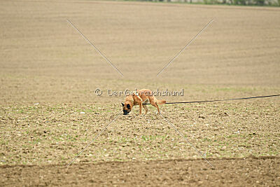 Oxana de la montagne unique