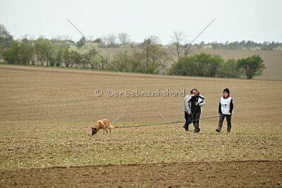 Oxana de la montagne unique