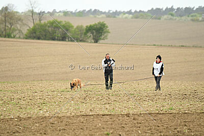 Oxana de la montagne unique