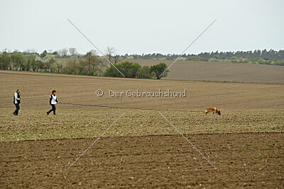 Oxana de la montagne unique