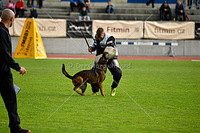 Ozone van het Dreiland