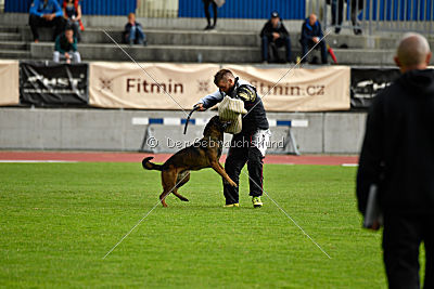 Ozone van het Dreiland