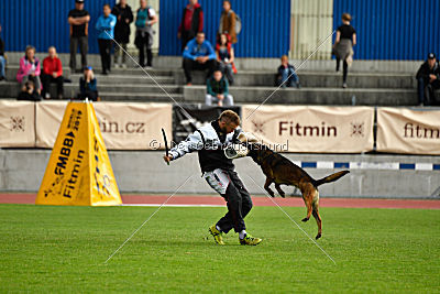 Ozone van het Dreiland