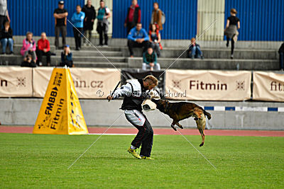 Ozone van het Dreiland