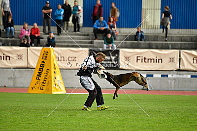 Ozone van het Dreiland